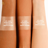 Palette de poudre de maquillage illuminatrice longue durée imperméable à l'eau, label privé de cosmétiques en gros personnalisé, pigment élevé pour le visage, simple