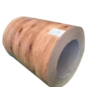 Ppgi Sheet Coils Pre Painted Gi Steel Coil Ppgi DX51D Prepainted Galvanized Rolled Sheet Coil