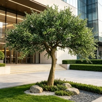 Arbre d'olivier artificiel personnalisé, feuillage artificiel réaliste pour les boutiques, les halls de centres commerciaux, les maisons d'hôtes, les zones d'accueil, les décors intérieurs et les aménagements architecturaux