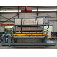 Machine à fabriquer des barquettes à œufs en alvéoles, 9500 pièces/h, moulage en pâte à papier pour les élevages de volailles