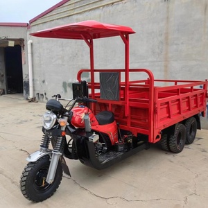 Fabricante Chino de Triciclos Tuk Tuk de Tres Ruedas, 200cc 300cc, de Gasolina, Triciclo de Carga, Motocicleta - Product Image 3