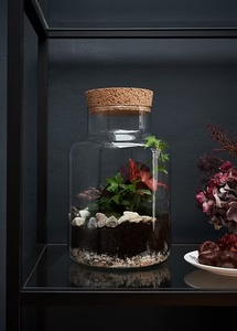 Kit de terrarium en verre écologique DIY, style campagnard, avec bouchon en liège, pour fleurs ou plantes vertes - Product Image 5