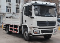 Camion de transport de marque chinoise en promotion, nouveau camion de fret avec caisse optionnelle, 15-20 tonnes, 230 ch, 4*2 4*4 L3000, camion de fret, fourgon
