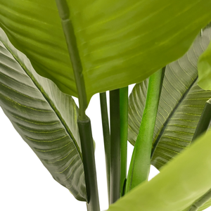 ต้นปาล์มเทียมขนาด120ซม. และบานาน่าสำหรับตกแต่งสวนในร่มของตกแต่งบ้านมีตัวเลือกแบบสด - Product Image 4