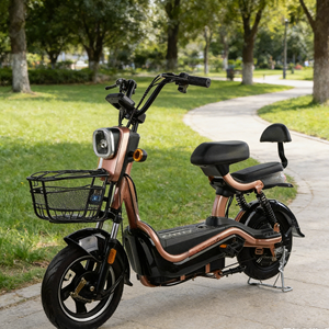 Bicicleta Eléctrica 2025, Motor <span class=keywords><strong>de</strong></span> Cubo Trasero, Motor Electrónico sin Escobillas <span class=keywords><strong>de</strong></span> 48V, Uso Urbano Rápido - Product Image 3