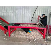 Concurrerende Prijs 1 Jaar Garantie 2000Kg 380V Industriële Fruit-En Groentesorteermachine Voor Verwerkingsbedrijven