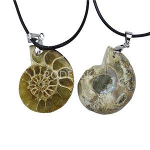Collana con Ciondolo in Fossile di Conchiglia Naturale, <span class=keywords><strong>Gioielli</strong></span> in Cristallo per Donna e Uomo, Regalo all'Ingrosso - Product Image 1