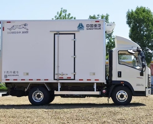 Camion frigorifique léger diesel Sinotruk Howo 4x2 neuf/occasion pour le transport de légumes, 10 tonnes/7 tonnes, <span class=keywords><strong>à</strong></span> <span class=keywords><strong>vendre</strong></span> - Product Image 4