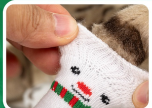 Christmas-themed pet socks for dogs with non-slip <b>PVC</b> <b>glue</b> dots, elastic band, and indoor base, featuring a festive style - Product Image 6