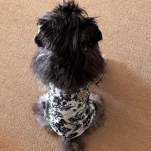 JM-Nueva llegada Snowy Retriever y camisa con estampado de gran danés para perros-Ropa para perros - Product Image 4
