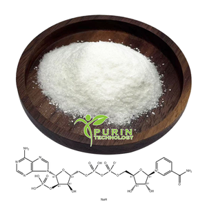 Sal Disódica <span class=keywords><strong>de</strong></span> NADP 99% Coenzima II Oxidada Sal <span class=keywords><strong>de</strong></span> Sodio Nicotinamida Adenina CAS 24292-60-2 Dinucleótido Fosfato - Product Image 2