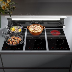 Placa de Cocina de Inducción Eléctrica Integrada de Acero Inoxidable, de un Solo Quemador, a Gas o con Batería, para Cocina Comercial - Product Image 5