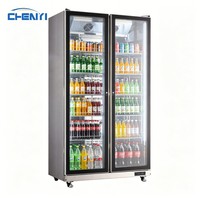 Réfrigérateurs mécaniques Sub Zero, vitrine de présentation de boissons, réfrigérateur à vin et à bière en libre-service pour usage commercial