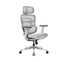 Chaise de bureau ergonomique respirante à succès avec support lombaire réglable, siège coulissant et cadre léger en aluminium pour la maison et le bureau