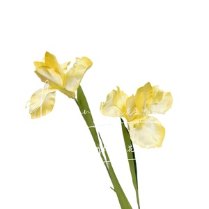 Artificial Iris <b>Flowers</b> Silk <b>Flower</b> <b>Single</b> Branch High Simulation Wedding Home Decoration Natural Style - Product Image 5