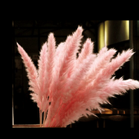 Bunga Pampas Grass Laris Manis untuk Dekorasi Pernikahan/Rumah, Buket Pampas Grass