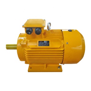 Moteurs d'ingénierie électrique Eastop, moteur triphasé de haute qualité 100 kW - Product Image 6
