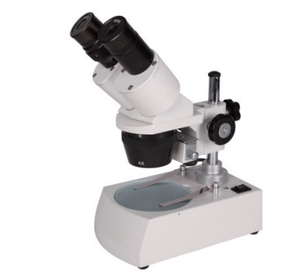 Zoom Stereo Microscope XT-3C Binocular 20X-40X LED Top Bottom Light for Jewelry Repair Phone Maintenance