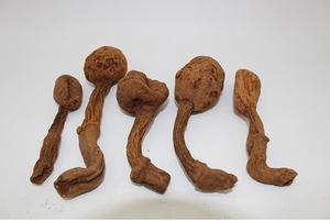 ผงสกัดฮวนาร์โป ชวาโก้ ของอเมริกาใต้ ผงฮวนาร์โป - Product Image 3