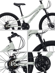 Vélo de montagne 29 pouces à cadre en acier 21 vitesses pour homme, idéal pour le trekking et la course, directement de l'usine - Product Image 6