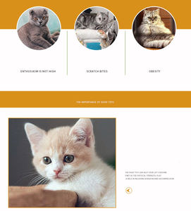 Hot Selling Faltbares Haustier Katzen spielzeug <span class=keywords><strong>Kitty</strong></span> Pet Training Interaktives Spaß spielzeug Interaktives Peek Hole Pet Tube Spielzeug für Katzen - Product Image 4