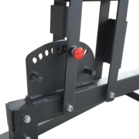 Chaise romaine d'hyper-extension d'exercice de dos de machines de sport chargées par plaque