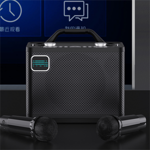 Altavoz de karaoke con micrófono y altavoces de karaoke portátiles inalámbricos para fiestas - Product Image 4
