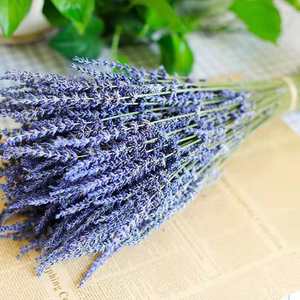 Flores Secas Naturales de Lavanda de Alta Calidad y Gran Venta para Decoración del Hogar - Product Image 2