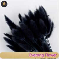 H05307 bunga Lagurus Ovatus kering, ekor kelinci halus rumput alami 50cm ekor anak kelinci bunga kering Lagurus Ovatus