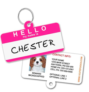 Pendentifs d'émotion amusants pour animaux de compagnie : colliers expressifs pour l'entraînement comportemental des chats et des chiens - Product Image 4
