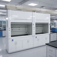 Hotte de laboratoire moderne en acier intégral avec surface époxy, évier intégré et robinet d'eau pour usage en laboratoire et sécurité des évacuations
