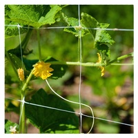 Komkommertrellis Net Voor Kruipen, Plastic Plantsteun Klimgaas