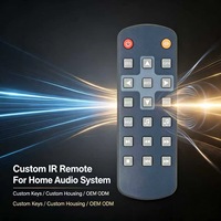 Control Remoto IR de 20 Teclas OEM ODM JCXK, Carcasa Personalizada para Sistemas de Audio Domésticos, Fabricante
