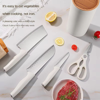 Ensemble de 5 couteaux de cuisine multifonctionnels ambidextres en acier inoxydable durable, emballage en boîte colorée, pour découpe – Prix abordable