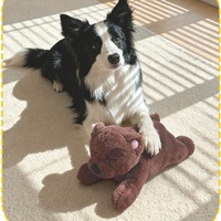 Jouet interactif à mâcher pour chiot, en peluche, avec rythme cardiaque, pour soulager l'anxiété et apaiser les animaux de compagnie - Vente flash