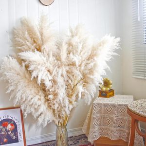 Herbe de la Pampa Naturelle Décorative – Série Très Demandée – Fleurs Séchées en Sac Plastique – Décoration du Nouvel An Chinois et de Pâques - Product Image 3