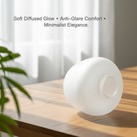Abat-jour en verre givré transparent fait main, style minimaliste, mi-siècle, chinois, européen, côtier, scandinave