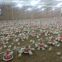 Système d'élevage de poulets de chair à commande automatique, design moderne, prix bas
