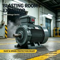 Moteur antidéflagrant basse tension pour applications minières 380V ExdIIBT4 avec protection IP55, bobinage de rotor en cuivre, moteur AC antidéflagrant