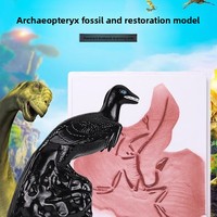 Modèle de reconstruction d'Archaeopteryx S-1578, Classification des oiseaux, Origine des oiseaux, Évolution des oiseaux, Paléontologie, Équipement expérimental