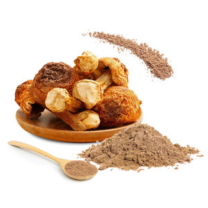 Extracto de Hongo Agaricus Blazei Murill, Polisacárido al 30%, Extracto de Agaricus Blazei - Product Image 1