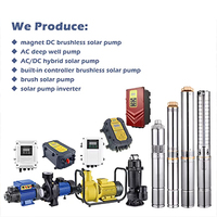 Pompe solaire submersible incroyable de 3 pouces, 12 V CC, 80 W, en acier inoxydable, pour puits profond, pompe à eau solaire de surface pour l'agriculture
