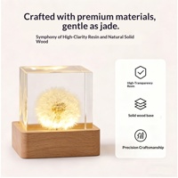 Lampe LED moderne en forme d'explosion de bombe atomique 3D, alimentée par USB, pour la décoration de la chambre à coucher, cadeau, résine époxy, lumière blanche chaude, veilleuse