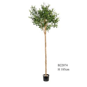 Plantes artificielles Olive Ficus fidget Eucalyptus <span class=keywords><strong>géant</strong></span> verte en <span class=keywords><strong>Pot</strong></span> <span class=keywords><strong>pour</strong></span> la maison jardin décoration intérieur extérieur - Product Image 5