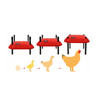 Couveuse de poulet, plaque chauffante, nouveau Design, à vendre