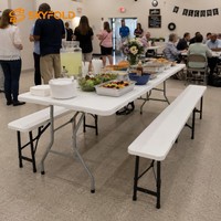 Table de repas pliable moderne pour l'extérieur, banc en métal avec structure en métal, banc pliable en plastique pour l'extérieur, pour usage domestique et professionnel