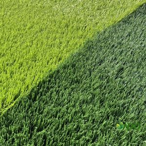 Fabbrica direttamente fornitura eco-friendly molto popolare erba artificiale <span class=keywords><strong>di</strong></span> <span class=keywords><strong>calcio</strong></span> per campo da <span class=keywords><strong>calcio</strong></span> campo sportivo - Product Image 6