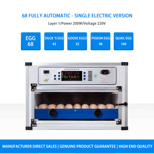 Incubateurs domestiques 200W entièrement automatiques pour l'élevage de volailles, mini-incubateur et éclosoir à poulets, outils d'éclosion en PVC - Product Image 4