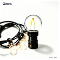 Ampoules à chaîne à LED pour Noël Ampoules à LED IP65 Ampoules à LED pour ceinture à LED Ampoules à LED pour ceinture