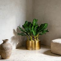 Plantes artificielles en pot, bananier artificiel, plantes artificielles durables, arrangement de haute qualité, vert, pour Noël, mariage, décoration intérieure